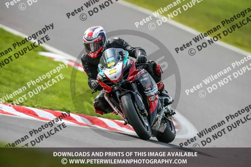 Oulton Park 21st March 2020;PJ Motorsport Photography 2020;anglesey;brands hatch;cadwell park;croft;donington park;enduro digital images;event digital images;eventdigitalimages;mallory;no limits;oulton park;peter wileman photography;racing digital images;silverstone;snetterton;trackday digital images;trackday photos;vmcc banbury run;welsh 2 day enduro